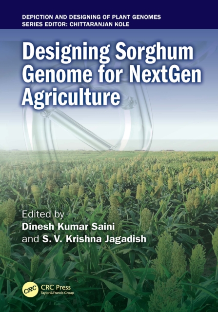 Designing Sorghum Genome for NextGen Agriculture