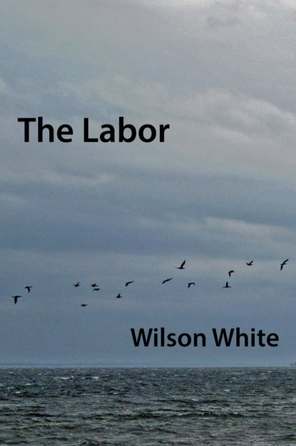 Labor