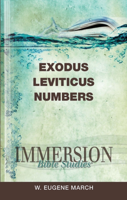 Essential Bible Study Tools for Ministry