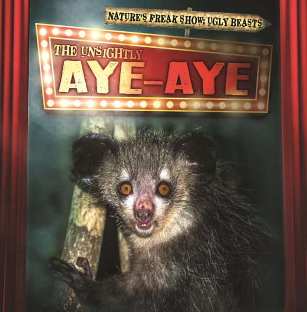 Unsightly Aye-Aye