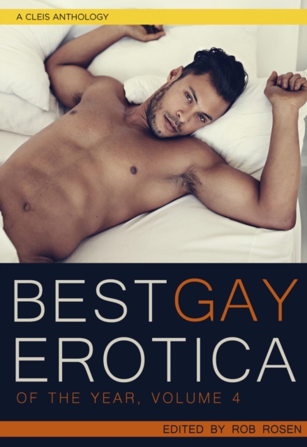 Best Gay Erotica of the Year