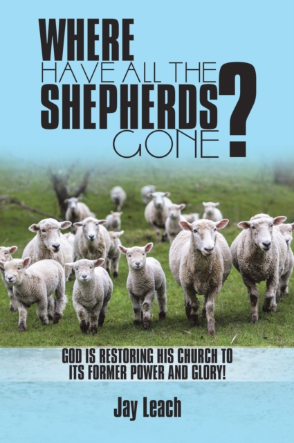 Where Have All the Shepherds Gone?