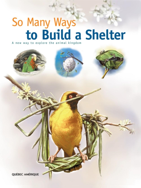 So Many Ways to Build a Shelter