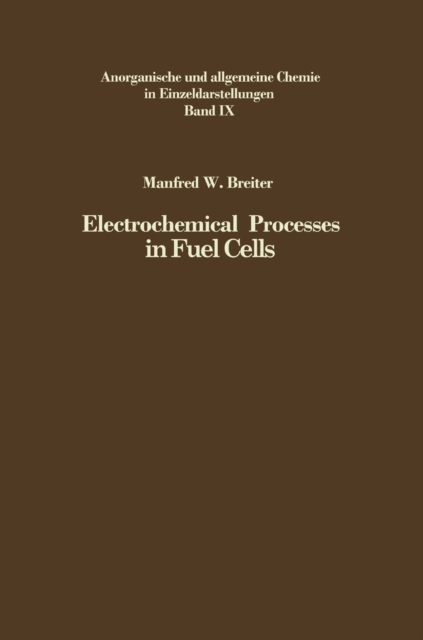 Electrochemical Processes in Fuel Cells