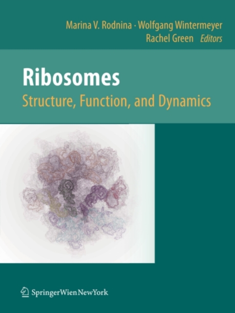 Ribosomes Structure, Function, and Dynamics