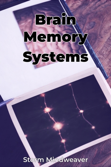 Brain Memory Systems