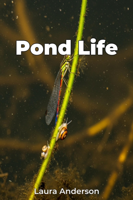 Pond Life