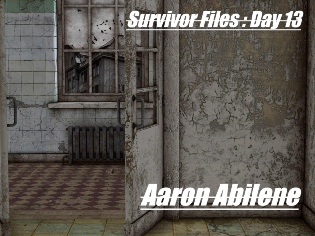 Survivor Files : Day 13
