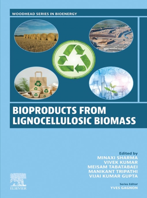 Bioproducts from Lignocellulosic Biomass