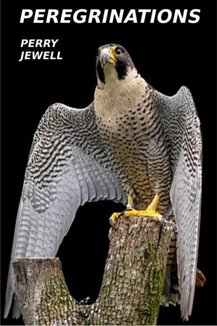 Peregrinations