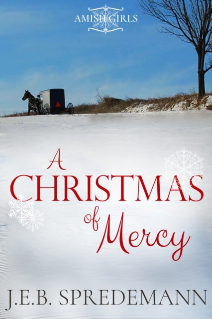 Christmas of Mercy (Amish Girls Holiday)