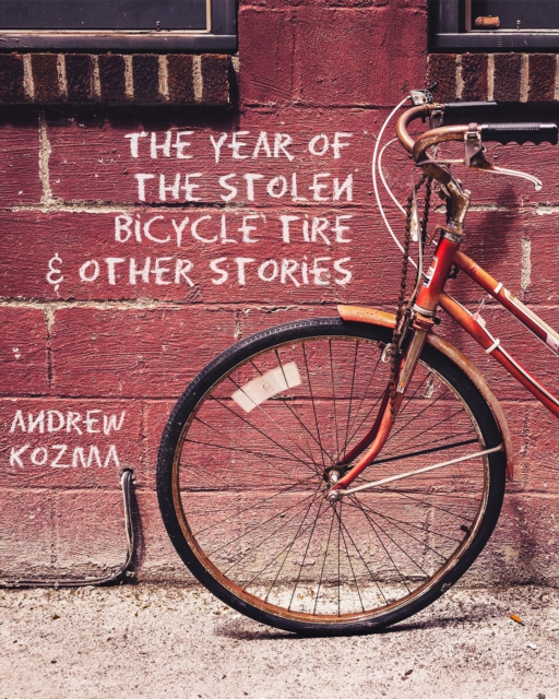Year of the Stolen Bicycle Tire and Other Stories
