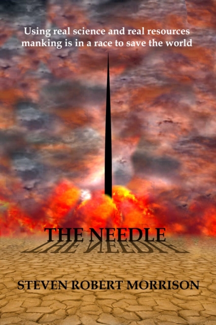 Needle