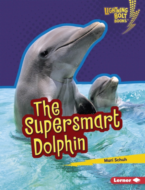 Supersmart Dolphin