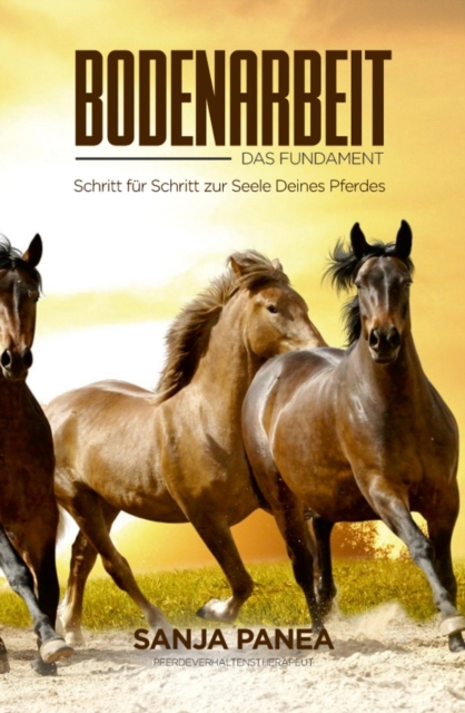 Bodenarbeit - Das Fundament