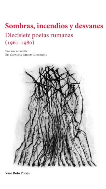 Sombras, incendios y desvanes