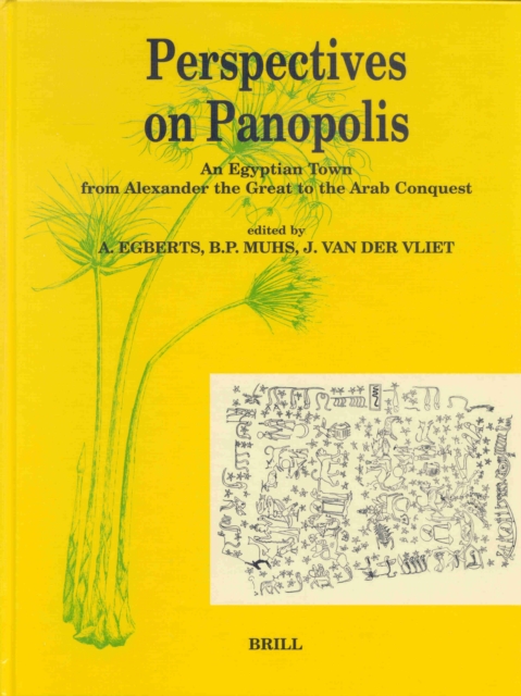 Perspectives on Panopolis: An Egyptian town from Alexander the Great to the Arab Conquest