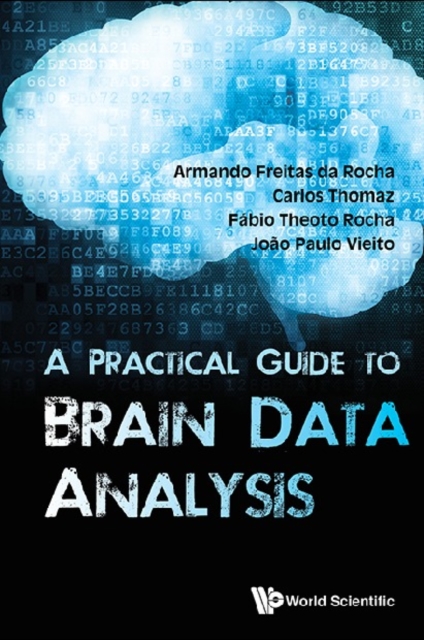 Practical Guide To Brain Data Analysis, A