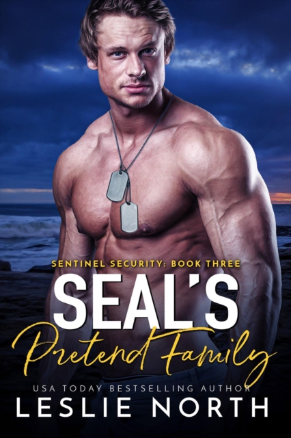 SEAL's Pretend Family