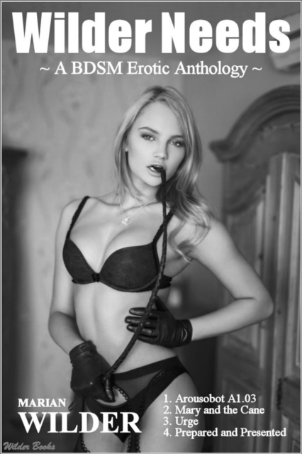 Wilder Needs: A BDSM Erotic Anthology