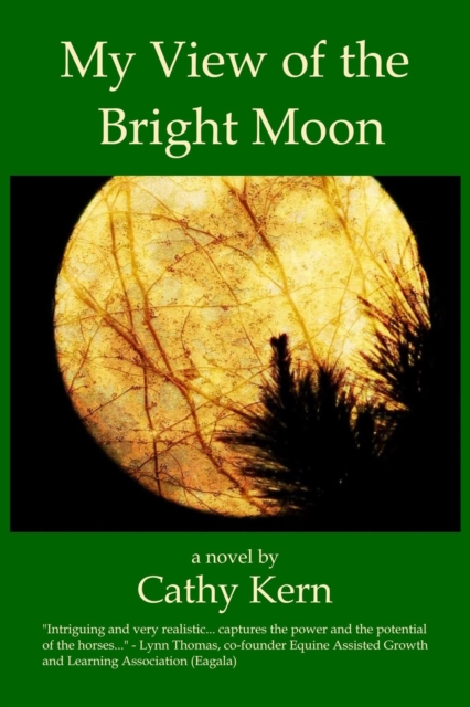 My View of the Bright Moon