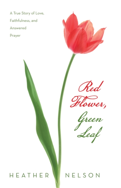 Red Flower, Green Leaf