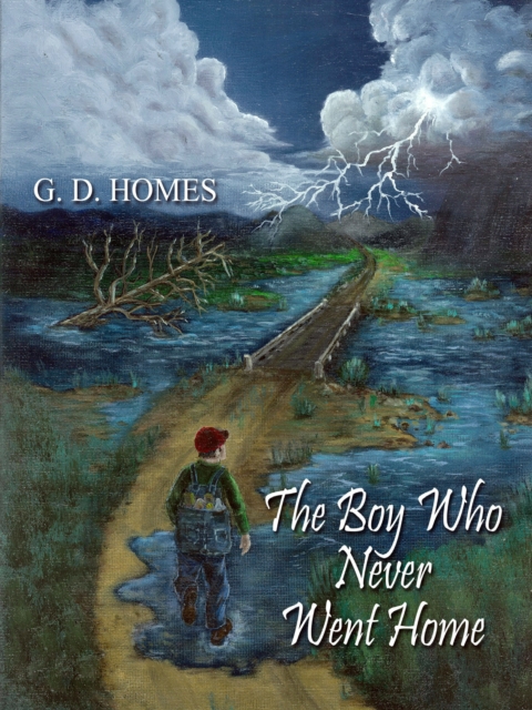 Boy Who Never Went Home