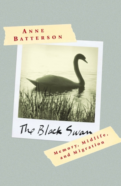 Black Swan