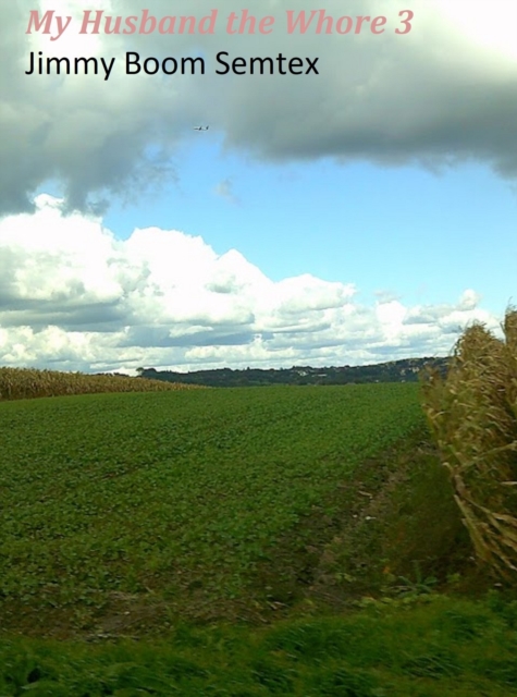 My Husband the Whore 3