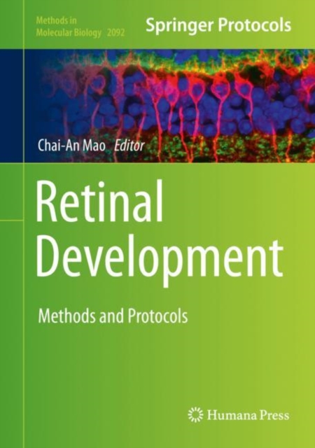 Retinal Development