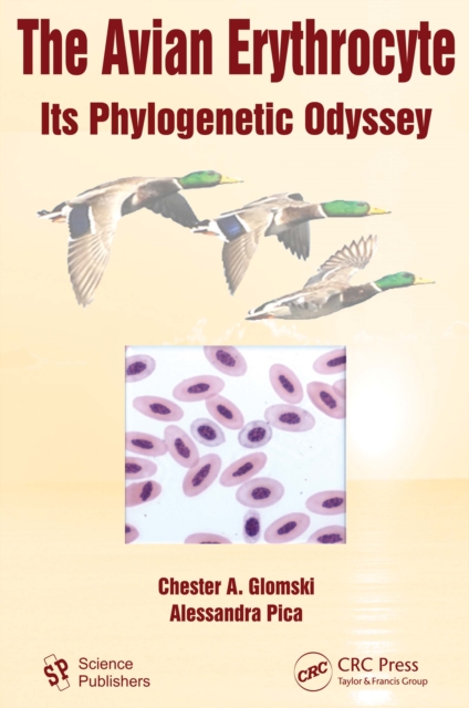 Avian Erythrocyte