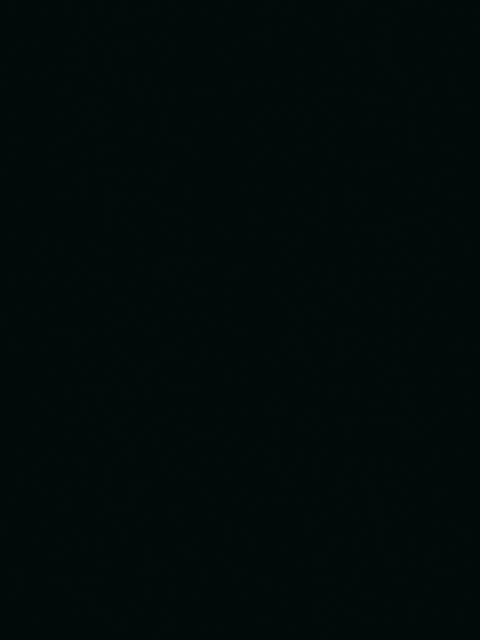 Advances in Computer Assisted Learning