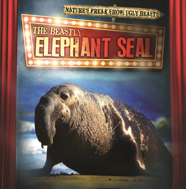 Beastly Elephant Seal