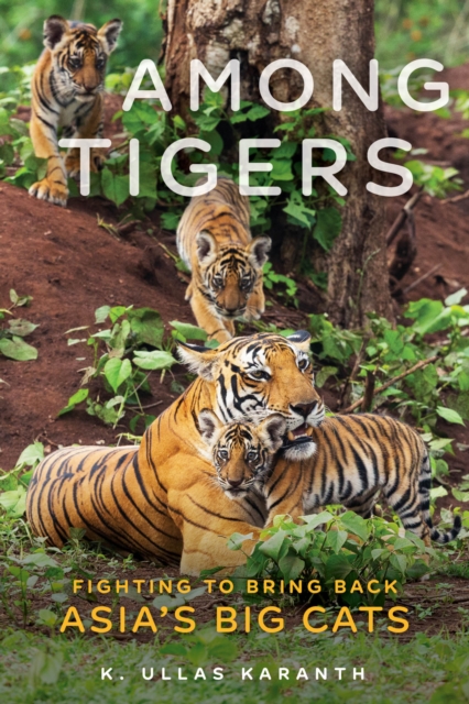 Among Tigers