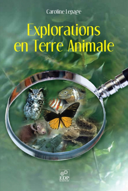 Explorations en terre animale
