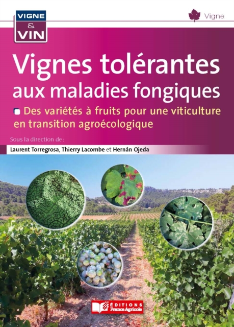 Vignes tolérantes aux maladies fongiques