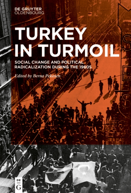 Turkey in Turmoil