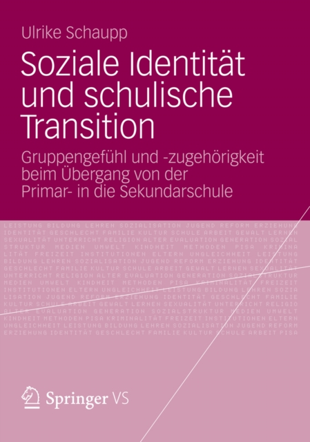 Soziale Identität und schulische Transition