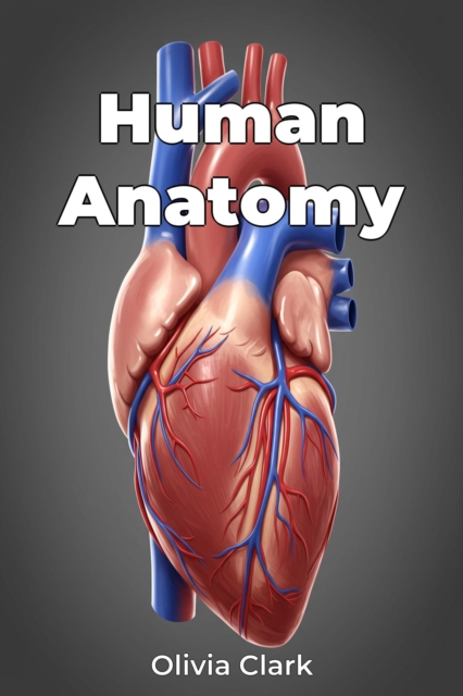 Human Anatomy
