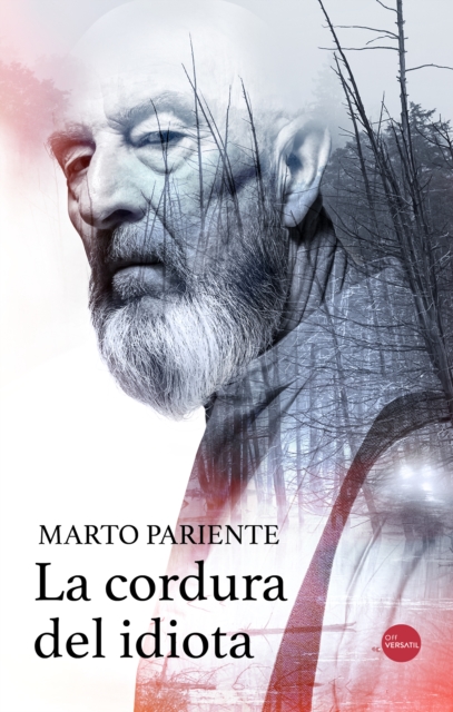 Spells (Hechizos)