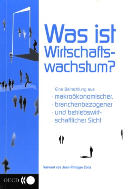 Was ist Wirtschaftswachstum? Eine Betrachtung aus makrookonomischer, branchenbezogener und betriebswirtschaftlicher Sicht