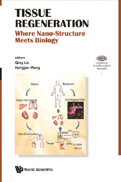 Tissue Regeneration: Where Nano-structure Meets Biology