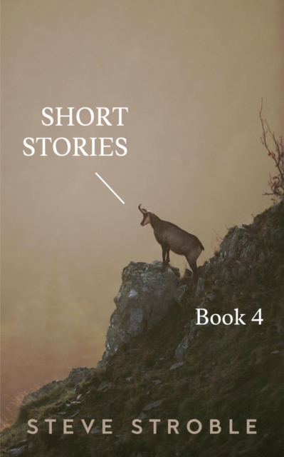 Short Stories Book 4