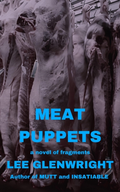 Meat Puppets: A Novel of Fragments