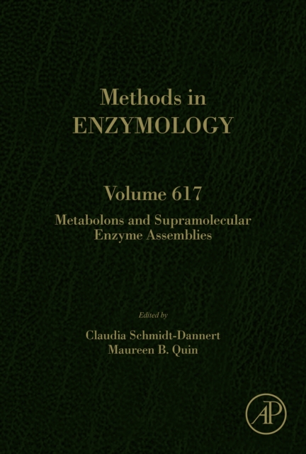 Metabolons and Supramolecular Enzyme Assemblies