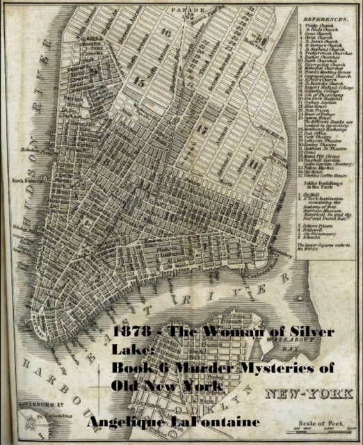 1878 - The Woman of Silver Lake: Book 6 (Murder Mysteries of Old New York)