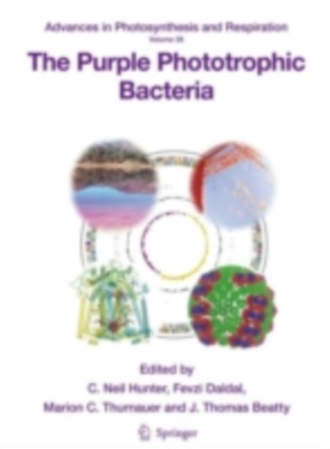 Purple Phototrophic Bacteria