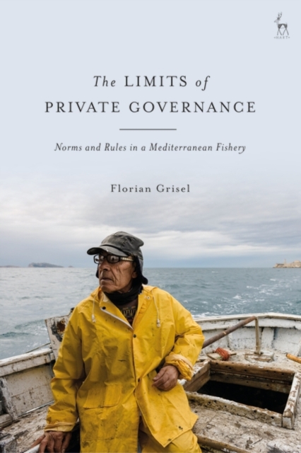 Limits of Private Governance
