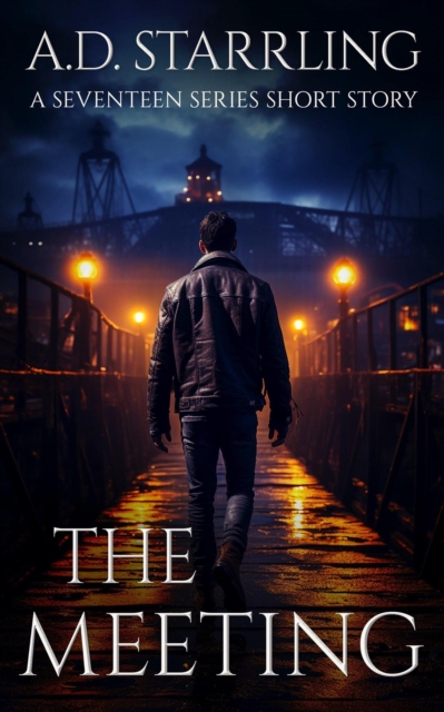 Meeting (A Seventeen Series Short Story #3)