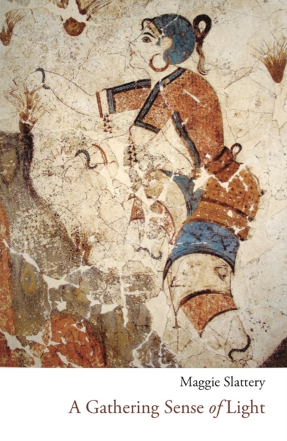 Gathering Sense of Light